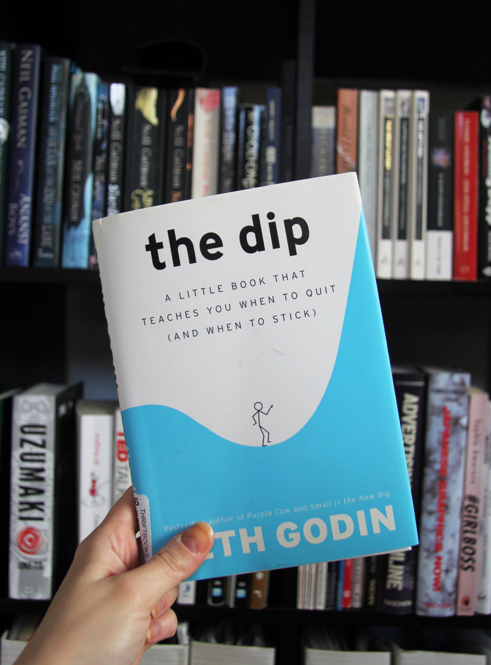 the-dip-seth-godin